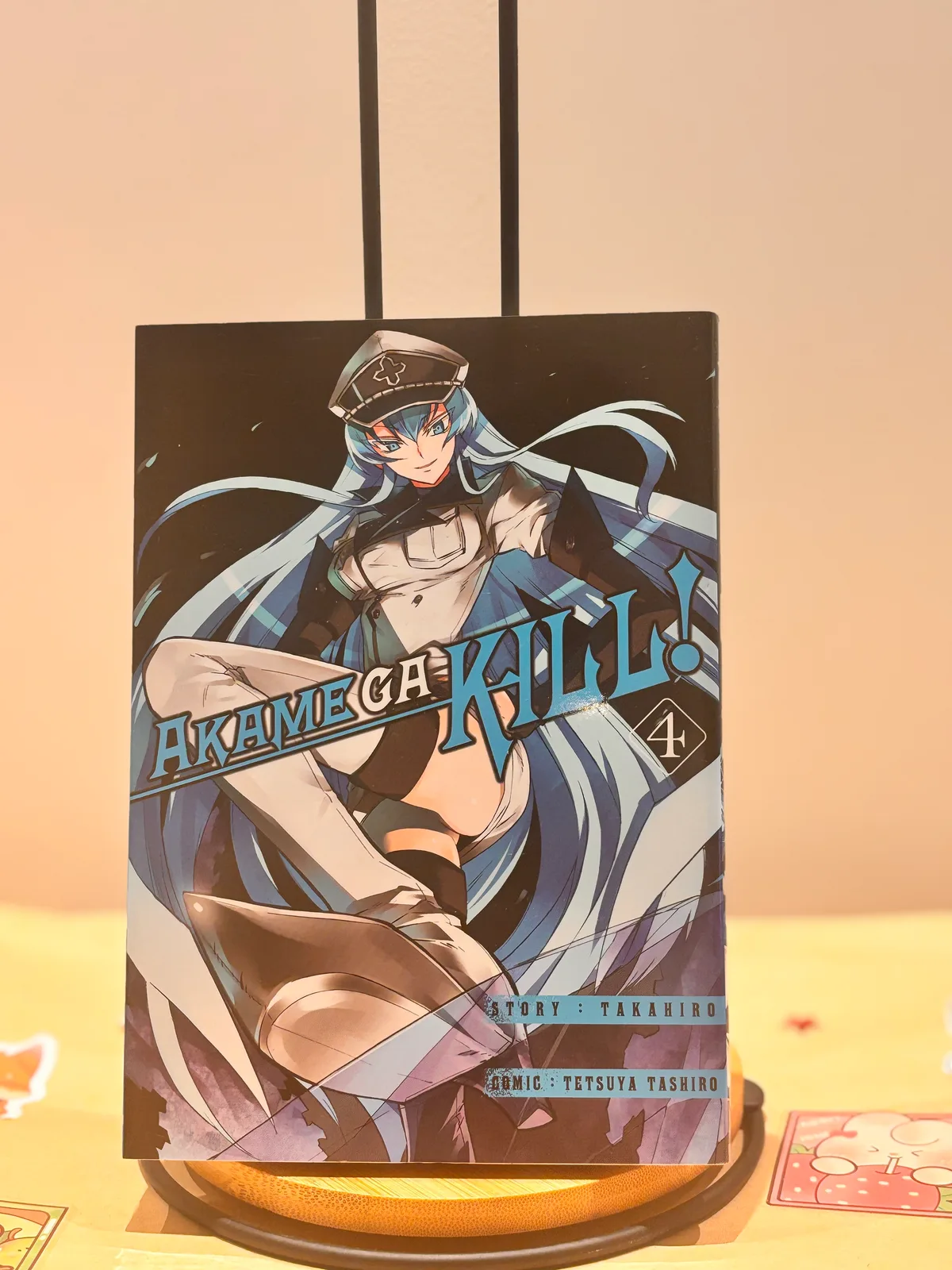 Zdjęcie magazynowe 1: Akame ga Kill