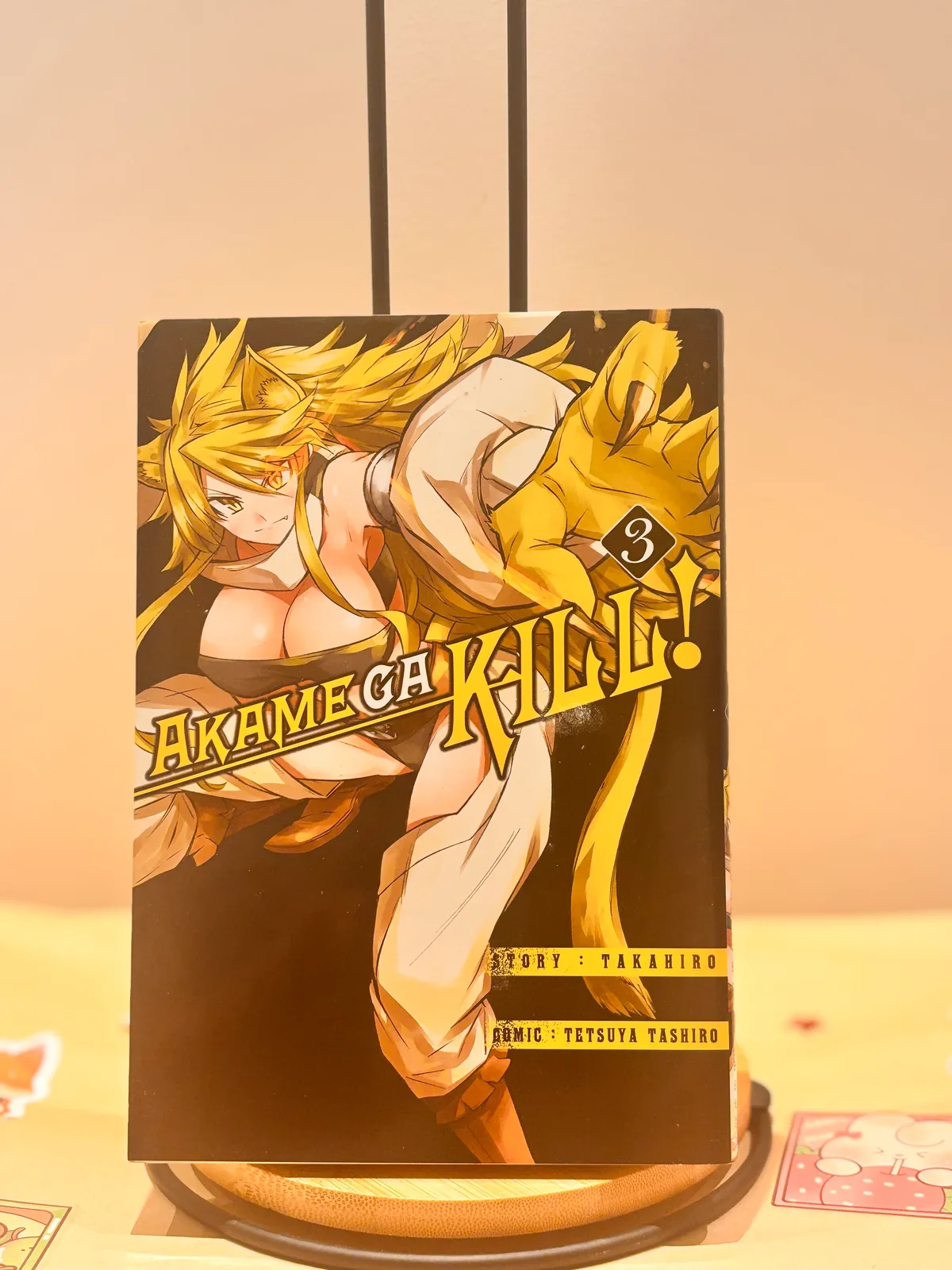 Zdjęcie magazynowe 1: Akame ga Kill